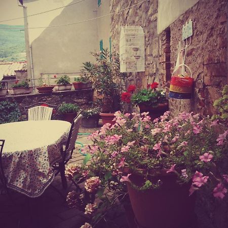 Dimora Toscana Apartment Seggiano Екстериор снимка