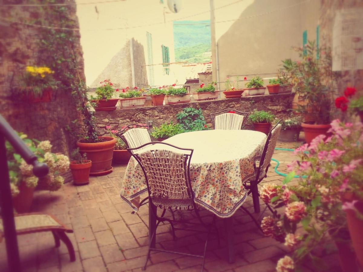 Dimora Toscana Apartment Seggiano Екстериор снимка