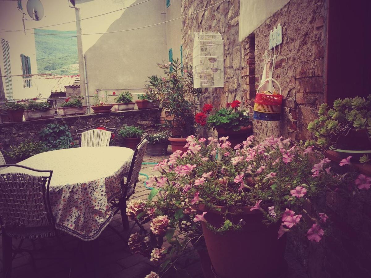 Dimora Toscana Apartment Seggiano Екстериор снимка