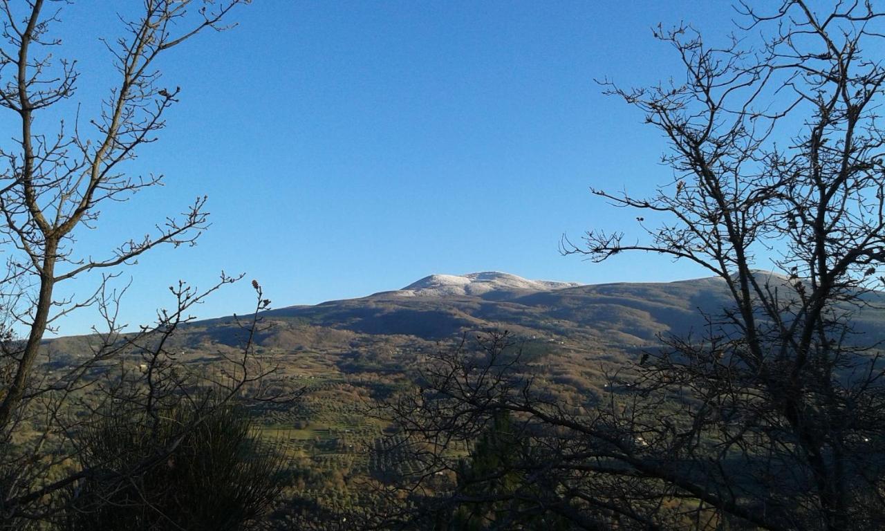 Dimora Toscana Apartment Seggiano Екстериор снимка