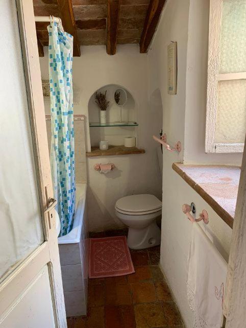 Dimora Toscana Apartment Seggiano Екстериор снимка