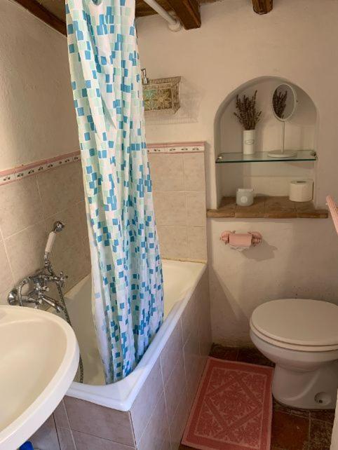 Dimora Toscana Apartment Seggiano Екстериор снимка
