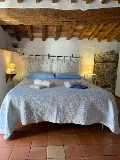 Dimora Toscana Apartment Seggiano Екстериор снимка